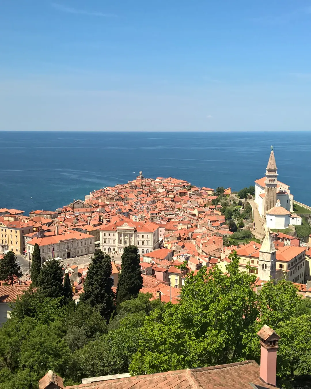 Piran, its terracotta roofs and St George's bell tower, seen from the walls above the town